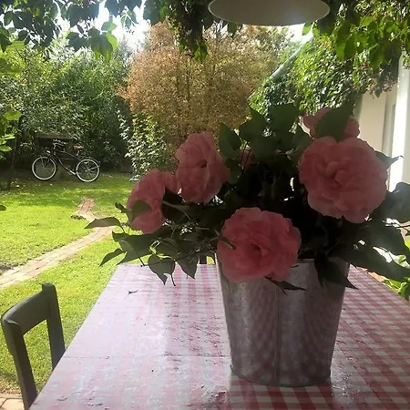 Maison Cirmi Dom wakacyjny *