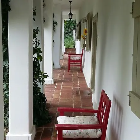 Maison Cirmi * Szabadhidveg