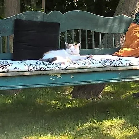 Dom wakacyjny Maison Cirmi *