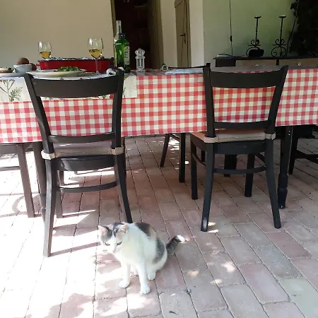 Dom wakacyjny Maison Cirmi