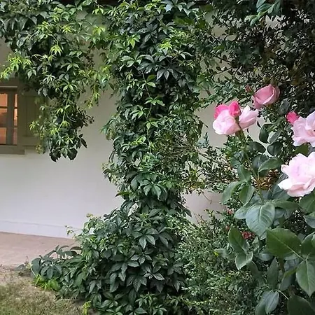 別荘 Maison Cirmi Szabadhidvég