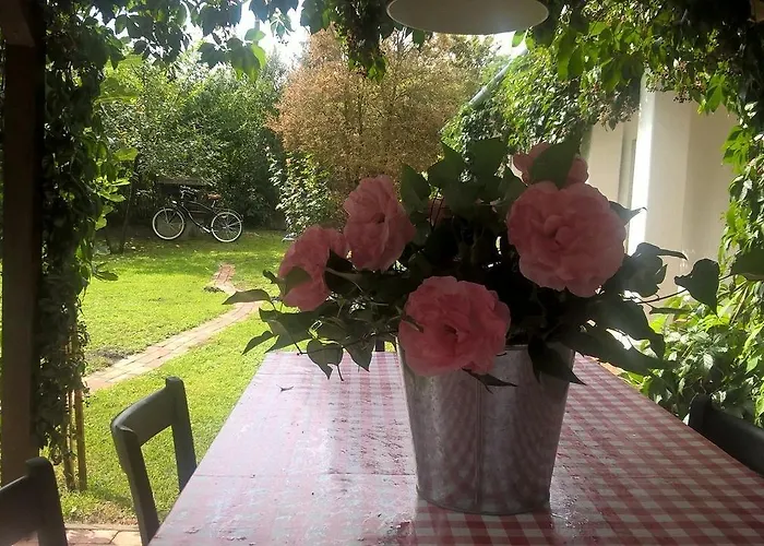 Maison Cirmi Nyaraló *