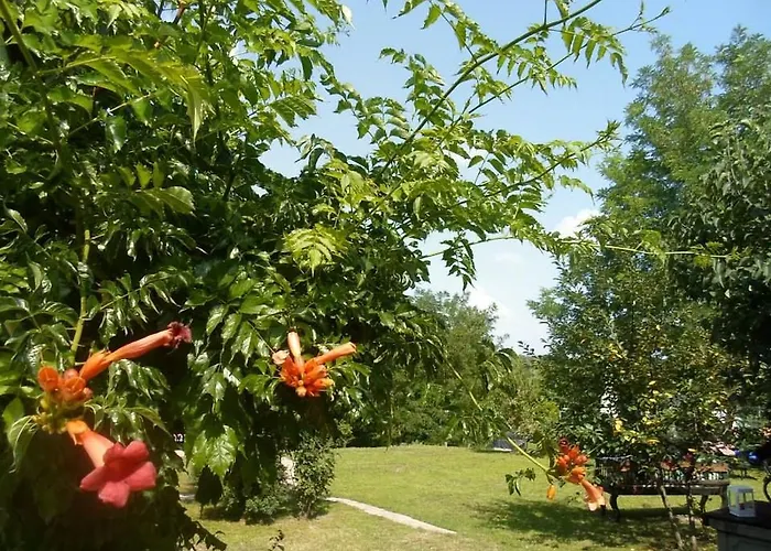 Maison Cirmi Szabadhidvég