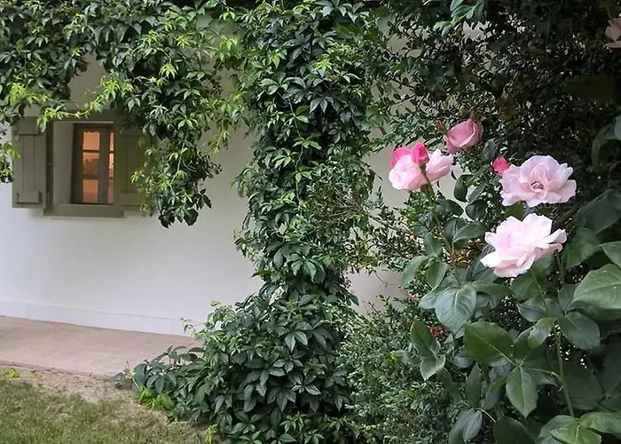 Nyaraló Maison Cirmi Szabadhidvég